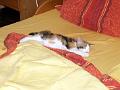 caramel 06-04 028